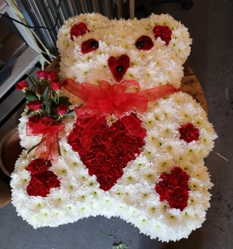 teddy