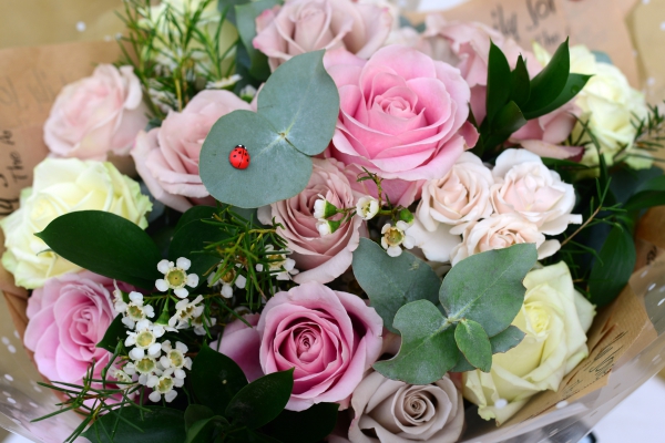 pastel-perfection