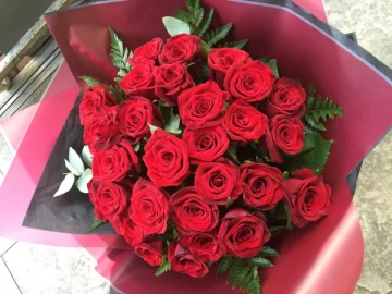 24-velvet-roses