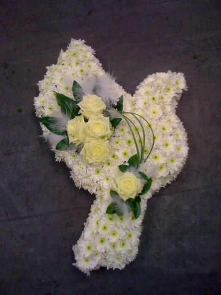 dove-tribute