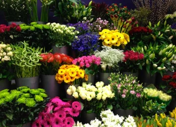 florist-choice