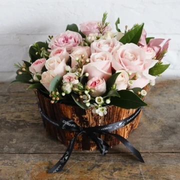 rose-delight