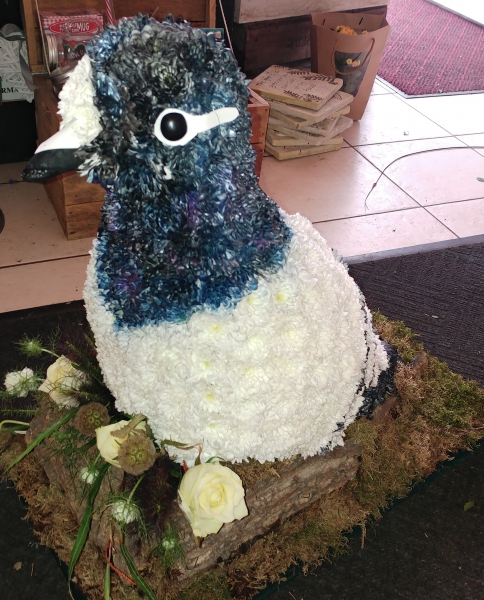 3d-pigeon