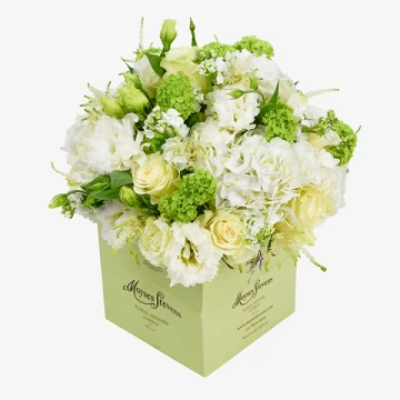 white-and-green