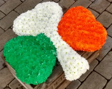 clover