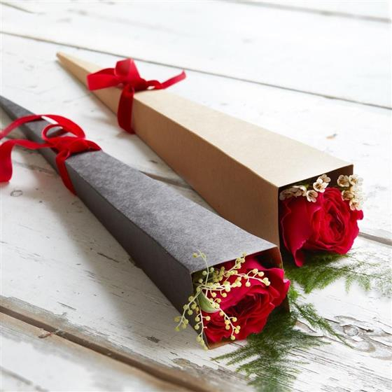 single-red-rose