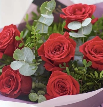 dozen-red-roses