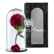 forever-rose