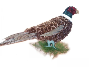 pheasant-tribute-2d
