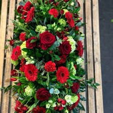 red-coffin-spray
