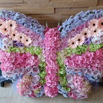 butterfly