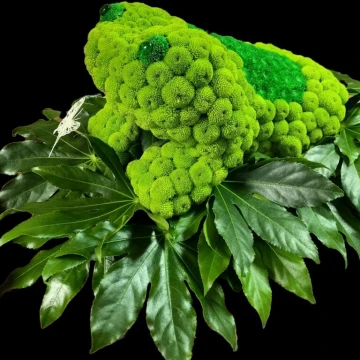 3d-frog-tribute