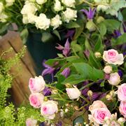 Florists choice basket