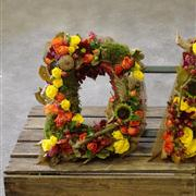 Autumnal open letter