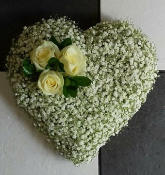 gypsophilia-heart