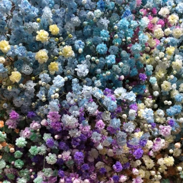 rainbow-gypsophilia-gift-in-aqua