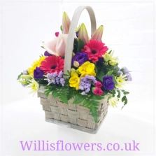 vibrant-basket