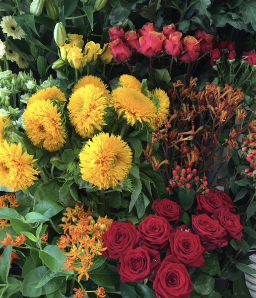 Yellows and oranges