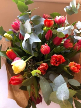 tulips-galore