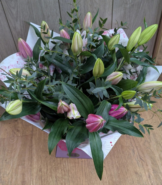 The lily one