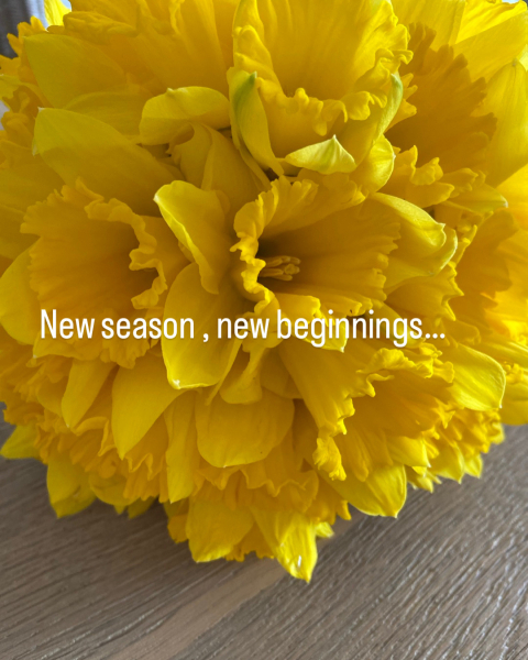 Spring florist choice