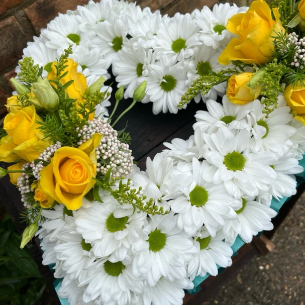 daisy-open-heart