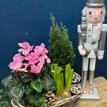 Nutcracker planter