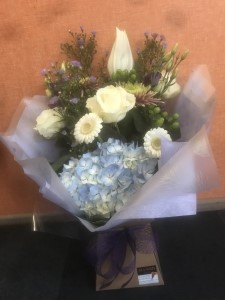 blue-hydrangea