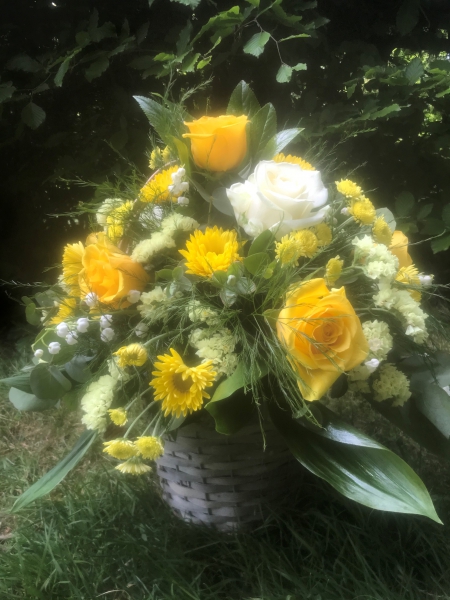 golden-bud