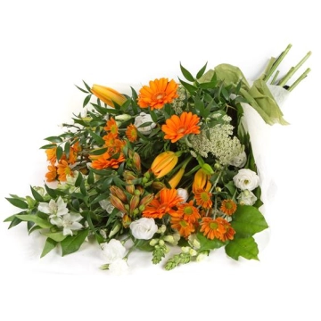 orange-white-sheaf