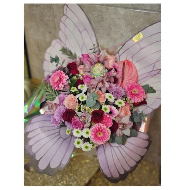 the-butterfly