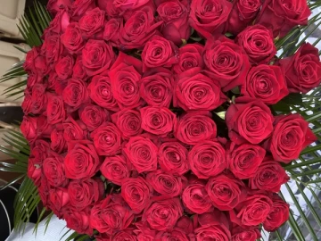 100-best-red-roses