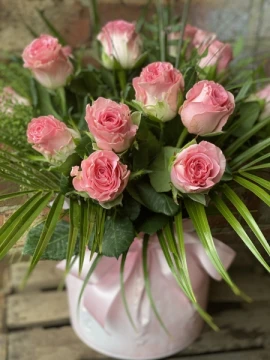sugar-rose