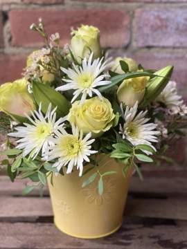 lemon-and-white