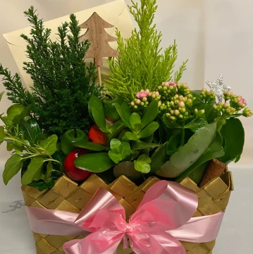 planted-basket
