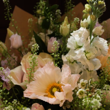 designers-choice-pastel