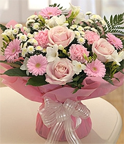 blush-pink