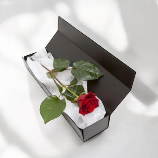 single-red-rose