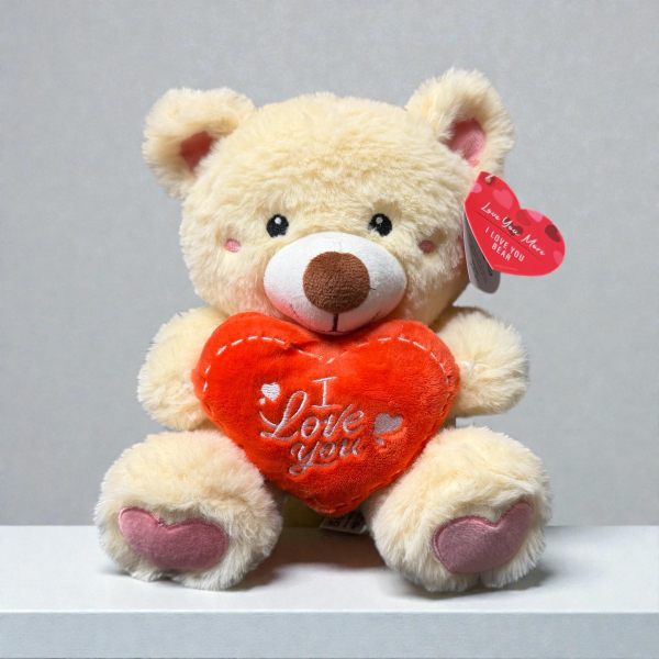 Valentines teddy