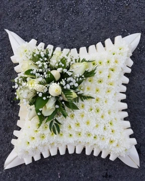 cushion-neutral