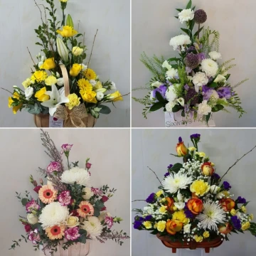 front-facing-baskets