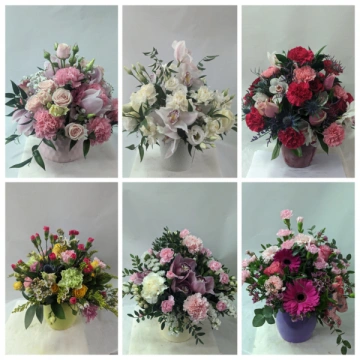 the-round-pot-arrangement