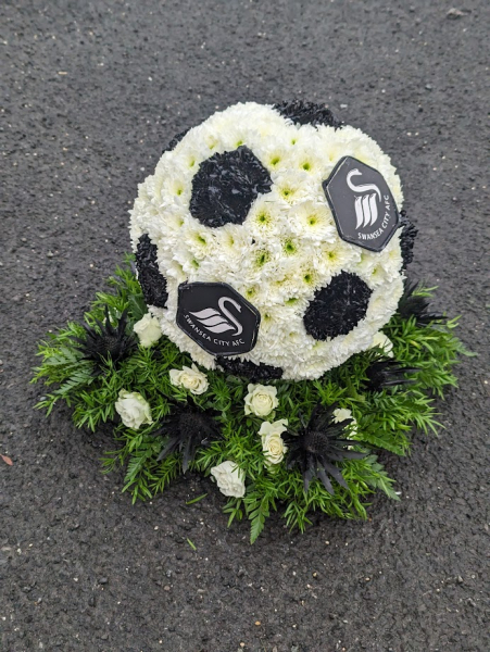 swansea-football
