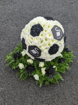 swansea-football