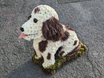 3d-spaniel