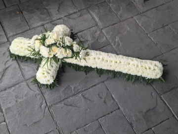 white-cross
