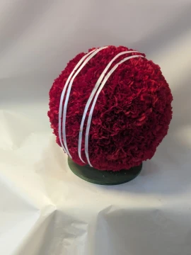 cricket-ball