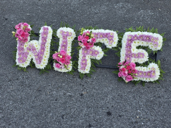 Wife two tone pink