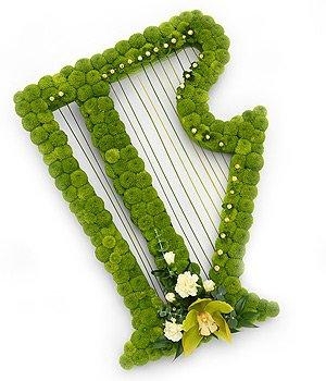 irish-harp