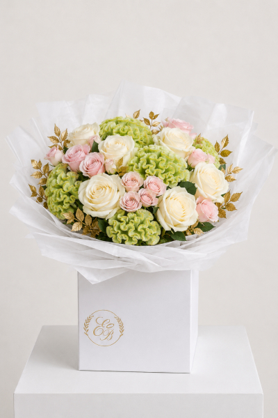Celosia blush